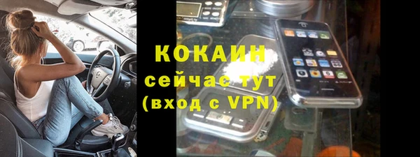 шишки Арсеньев