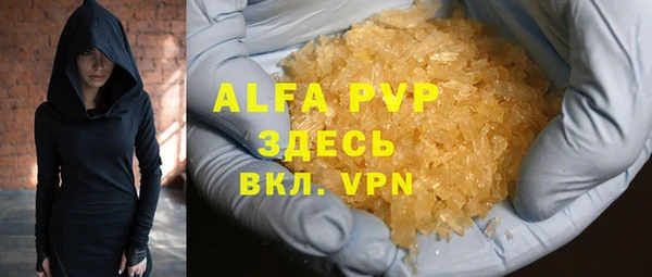 шишки Арсеньев