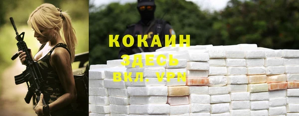 дживик Аркадак