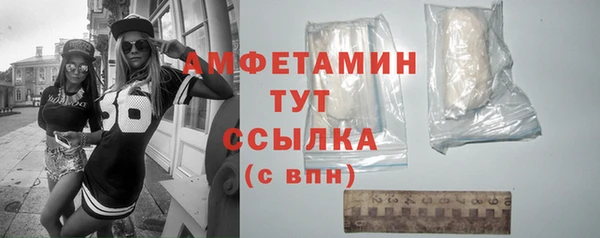 шишки Арсеньев