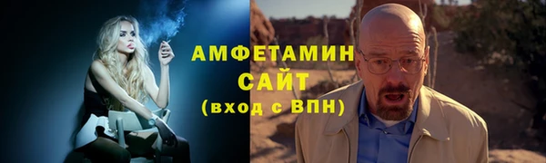 шишки Арсеньев