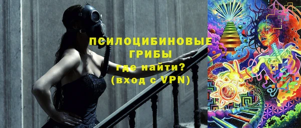 шишки Арсеньев