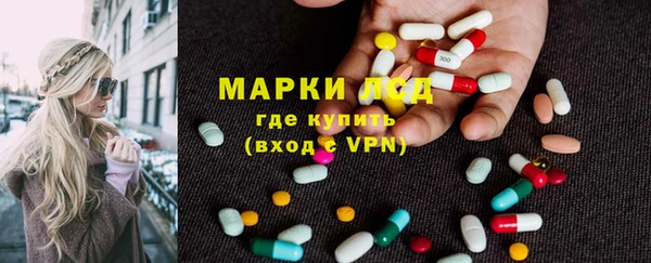 шишки Арсеньев