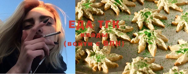 дживик Аркадак