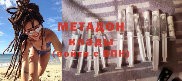 шишки Арсеньев